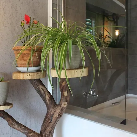 Willa Villa Lorela Mit Privatem Pool Žminj